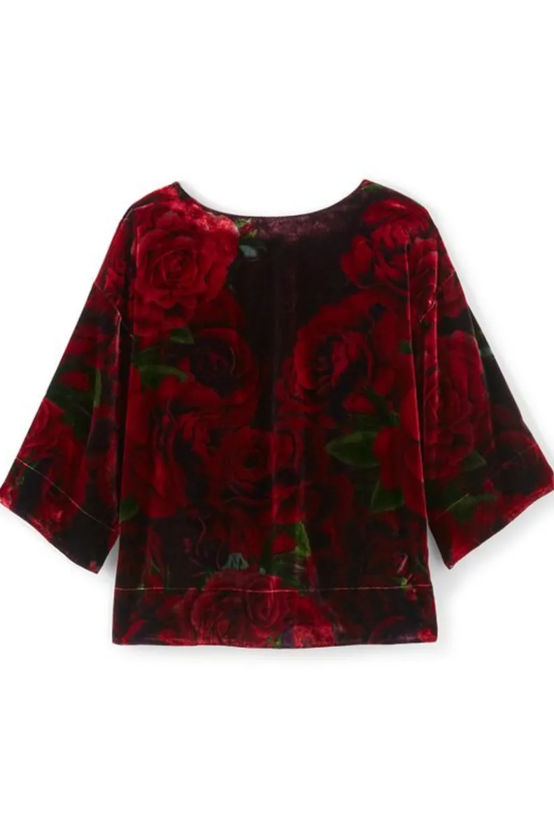 Soft Surroundings Aria Velvet Top| Tops