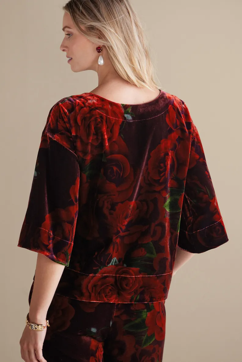 Soft Surroundings Aria Velvet Top| Tops