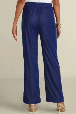 Soft Surroundings Aria Velvet Wide Leg Pants| Pants