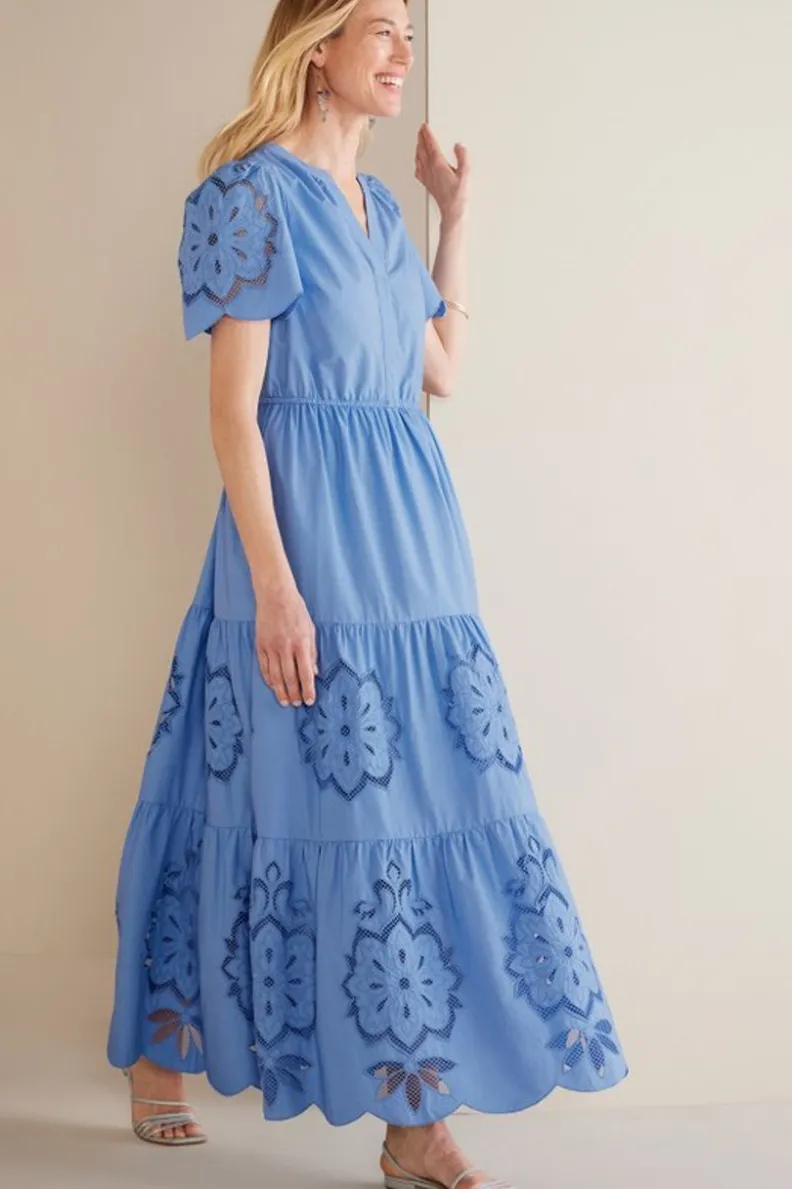 Soft Surroundings Dorothy Maxi Dress| Dresses