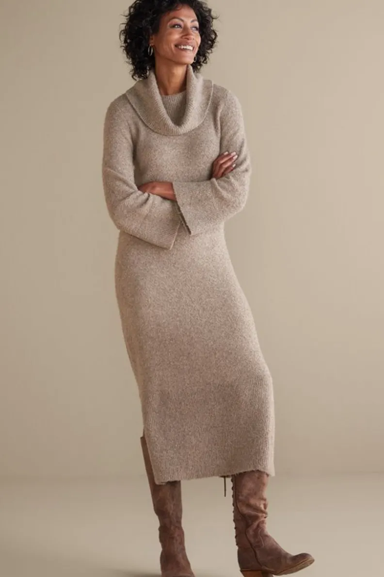Soft Surroundings Frances Dress| Dresses