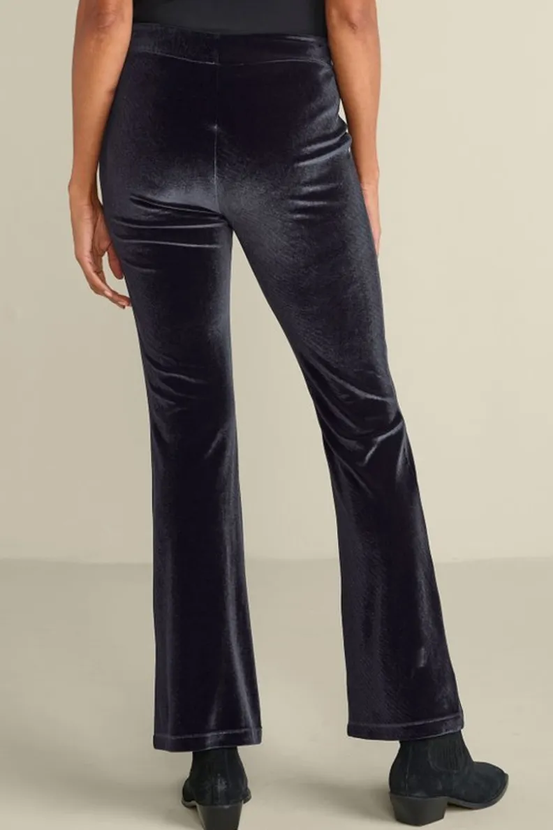 Soft Surroundings Gianna Velvet Bootcut Pants| Pants