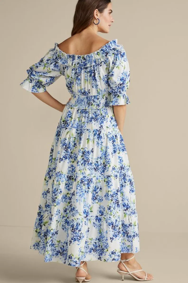 Soft Surroundings Rosana Maxi Dress| Dresses