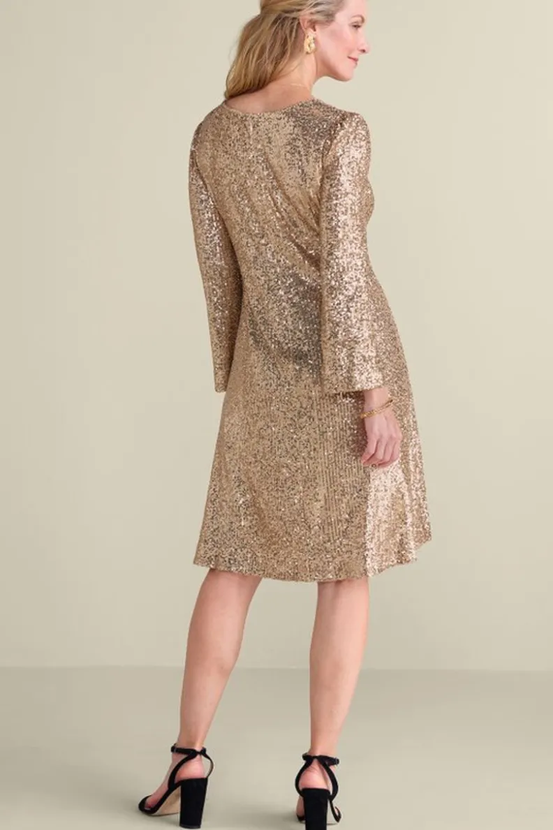 Soft Surroundings Sancerre Sequin Dress| Dresses